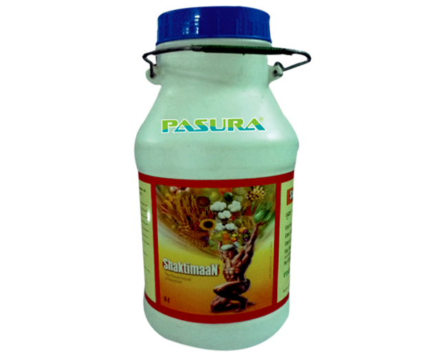 Pasura